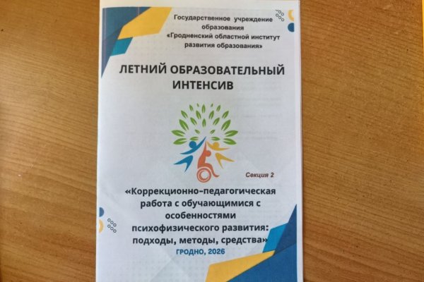 Участие специалистов ЦКРОиР в трехдневном летнем образовательном интенсиве по теме «Коррекционно-педагогическая работа с обучающимися с особенностями психофизического развития: подходы, методы, средства».