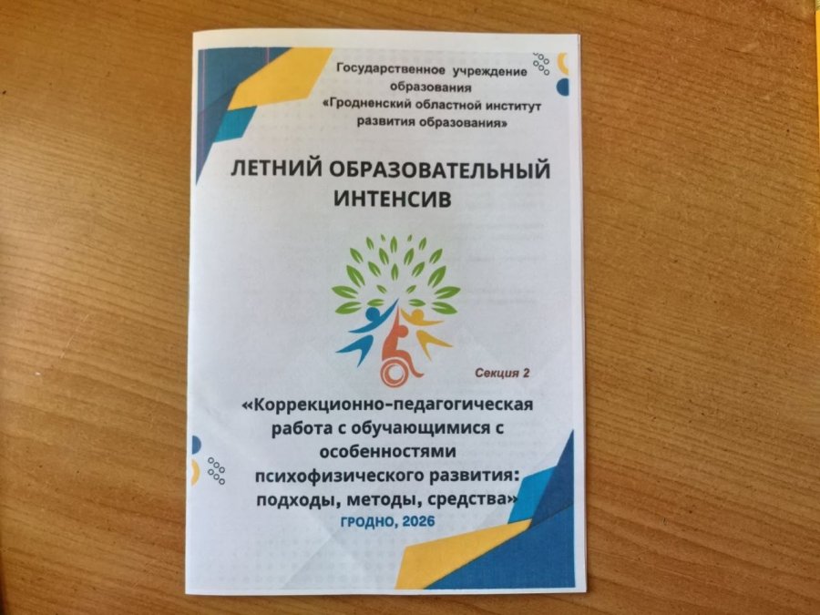 Участие специалистов ЦКРОиР в трехдневном летнем образовательном интенсиве по теме «Коррекционно-педагогическая работа с обучающимися с особенностями психофизического развития: подходы, методы, средства».