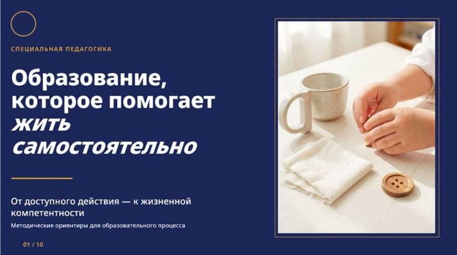 Областной вебинар по теме «Организация коррекционно-педагогической работы с детьми с особыми индивидуальными образовательными потребностями в условиях реализации принципа инклюзии: интеллектуальная недостаточность»
