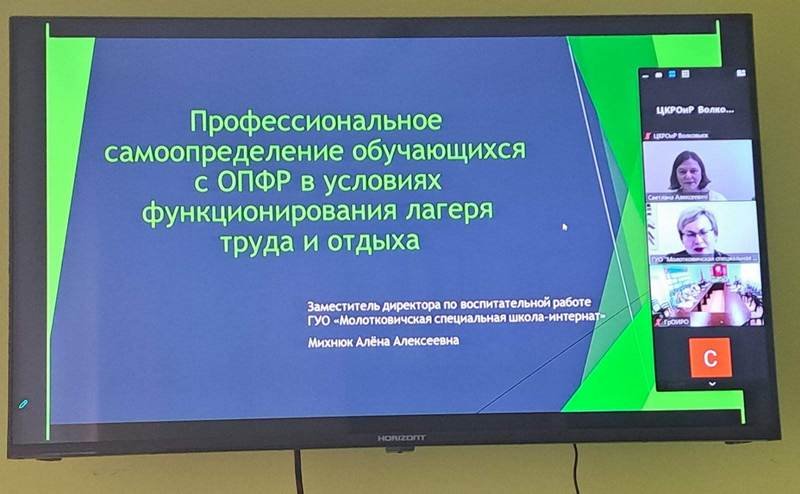 Вебинар «Дополнительное образование – ресурс профессиональной ориентации и профессионального самоопределения обучающихся с ОПФР»